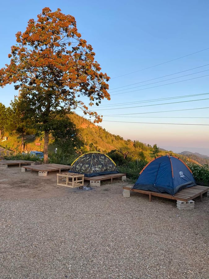 camp